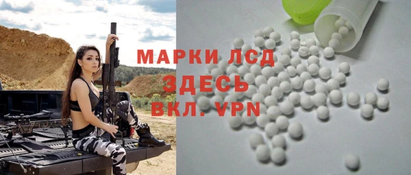 прущий лед Алзамай