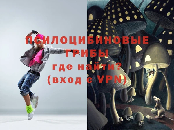 хмурый Абинск