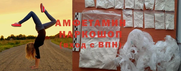 прущий лед Алзамай