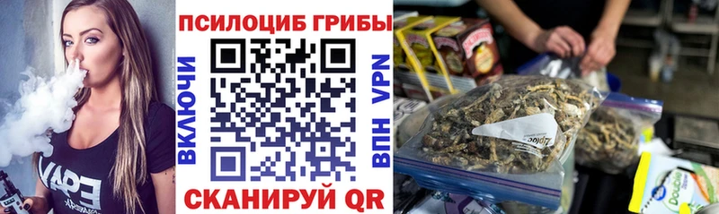 купить   Зеленокумск  Псилоцибиновые грибы Magic Shrooms 